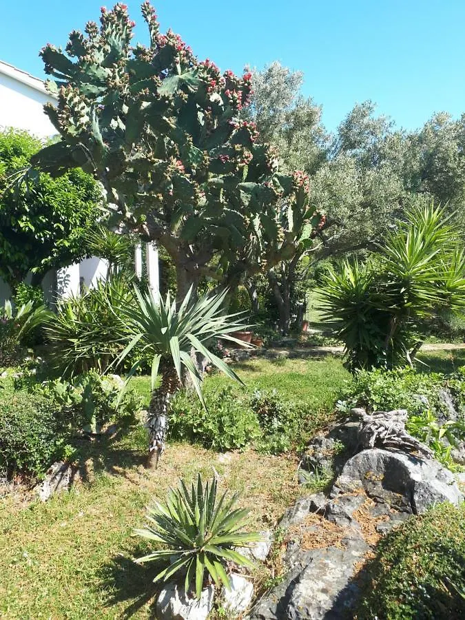 Apartments Makaus Rab Island Kampor
