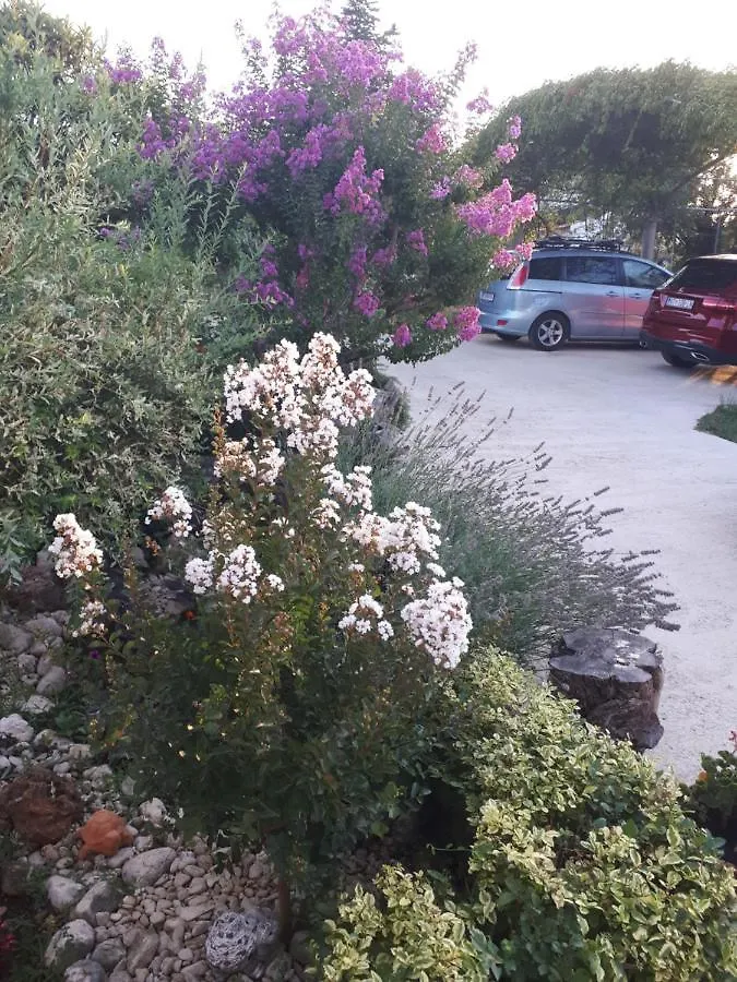 Apartments Makaus Rab Island Croatia