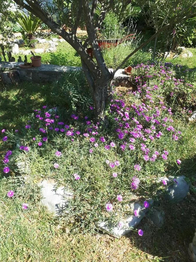 Apartments Makaus Rab Island Croatia