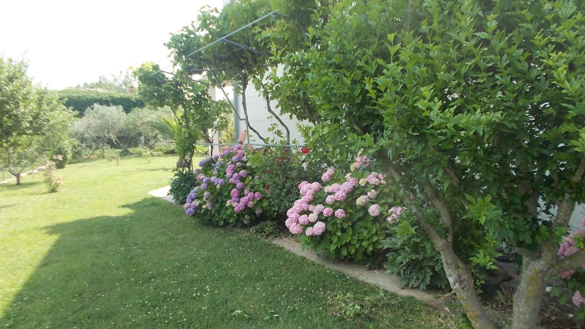 Apartments Makaus Rab Island